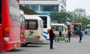 Doanh nghiệp vận tải thiếu lái xe khách, xe container Doanh nghiệp vận tải thiếu lái xe khách, xe container
