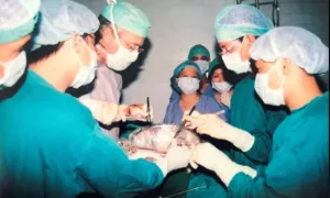 Những lá gan 'tình thân' hiến ghép tái sinh nhiều đứa trẻ Những lá gan 'tình thân' hiến ghép tái sinh nhiều đứa trẻ