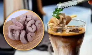 Cà phê pha nước hầm lòng heo gây 'sốt'
