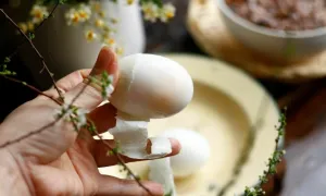 Nên luộc trứng từ nước lạnh hay sôi? Nên luộc trứng từ nước lạnh hay sôi?