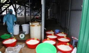 Đề xuất người dùng ma túy phải cung cấp thông tin 'từ đâu mà có'