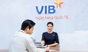 Tổng tài sản VIB vượt nửa triệu tỷ đồng sau 6 tháng
