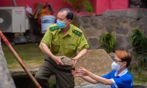 Vì sao người dân không nên tự ý nuôi động vật quý hiếm?