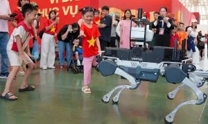Những lưu ý khi xem triển lãm 80 năm ở Đông Anh