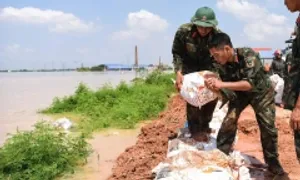 Thường trực Chính phủ yêu cầu nâng cấp hệ thống đê chống lũ