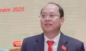 Bộ Chính trị chỉ định ông Nguyễn Hồ Hải làm Bí thư Cà Mau