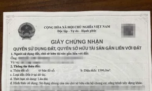 Vì sao người dân phải nộp sổ đỏ photocopy để 'làm sạch dữ liệu đất đai'