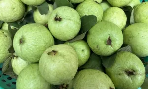 7 loại quả ngọt người tiểu đường có thể ăn hàng tuần